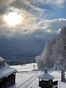 een besneeuwd veld met de zon in de lucht bij Berghotel Stutenhaus in Schmiedefeld am Rennsteig