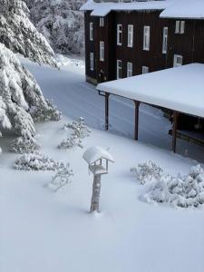 ein Vogelfutter im Schnee in einem Hof in der Unterkunft Berghotel Stutenhaus in Schmiedefeld am Rennsteig