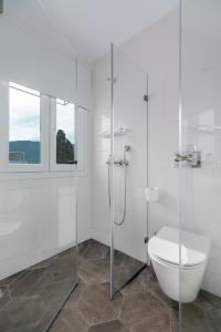 a bathroom with a toilet and a glass shower at Mare Gaia Apartments in Skiathos Town
