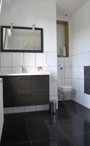 a bathroom with a sink and a toilet at Gite HANSEL de la Ferme du Schneeberg in Wangenbourg