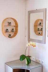 Fotografie z fotogalerie ubytování Mystique Apartment v destinaci Karpathos