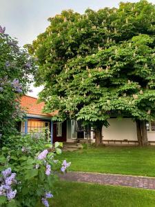 ein großer Baum vor einem Haus mit Blumen in der Unterkunft Studio Solbakke, modern studio close to sea in Rød