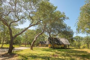 Galeriebild der Unterkunft Pioneer Camp in Lusaka