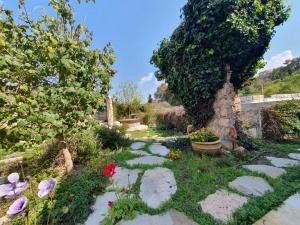 Zahrada ubytování Villa Dadia - Rosh Pina