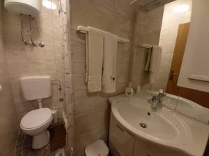 a bathroom with a white toilet and a sink at Apartment & Studio Vrdoljak in Sveti Anton