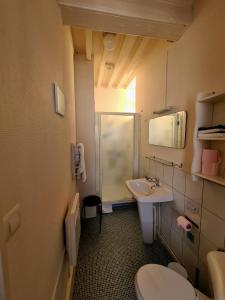 a small bathroom with a sink and a toilet at Ambiance Morvan in Ouroux