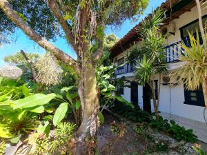 a tree in front of a house at Solar das Orquídeas in Porto Seguro