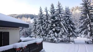 a snow covered yard with trees and a house at Am Kaltenbach - Spital am Semmering, Stuhleck in Spital am Semmering