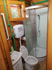 uma casa de banho com um chuveiro, um WC e um lavatório. em Vikendica Matovic Ovcar Banja em Ovcar Banja
