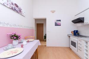 Kuchyň nebo kuchyňský kout v ubytování Apartments Damir