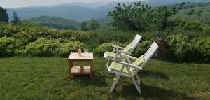 ヴェローナにあるVilla Beaの草の中の椅子2脚とテーブル