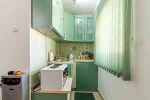 a small kitchen with green cabinets and a stove at Vikendica MRVICA in Bajina Bašta