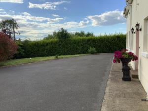 a driveway with flowers on the side of a house at Dolla in Nenagh
