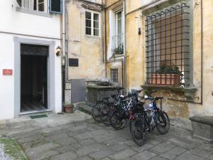 Jízda na kole v ubytování Corte Meraviglia - Relais nebo okolí