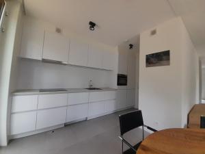 Kuchyň nebo kuchyňský kout v ubytování White Box