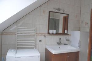 Koupelna v ubytování Apartament Vistula + 12 fotografií