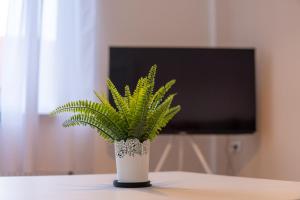 a green plant in a white vase on a table at "Creamlovers" Super Zentrale Ferienwohnung HBF-Messe-Buergerweide-CityGate-OVB Arena in Bremen