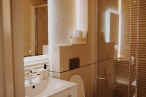 a bathroom with a sink and a toilet and a mirror at Villa Adele in Polanica-Zdrój +46 photos