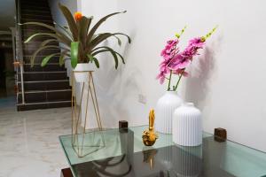 卡利Hotel Orquídea Real的相册照片