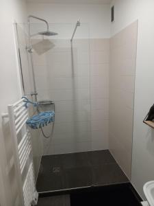 a shower in a bathroom with a glass door at Appartement Standing Cœur d'Annecy in Annecy
