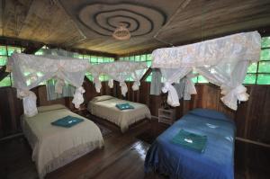 1 dormitorio con 2 camas y cortinas. en Tapir Lodge, en Marian
