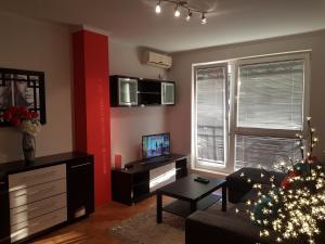 TV a/nebo společenská místnost v ubytování Rajiceva 5- apartman sa prostranom terasom i garaznim mestom