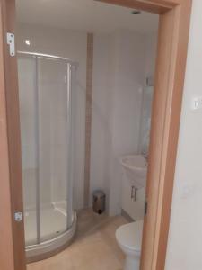 e bagno con doccia, servizi igienici e lavandino. di LILA Lake Isle Luxury Aparthotel a Sligo