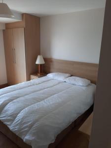 スライゴにあるLILA Lake Isle Luxury Aparthotelのベッドルーム1室(大きな白いベッド1台、枕2つ付)
