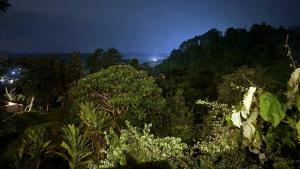 Photo de la galerie de l'établissement Bukit Lawang Hill Resort, à Bukit Lawang