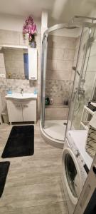La salle de bains est pourvue d'une douche et d'un lave-linge. dans l'établissement Apartment Lucky 7, à Izola