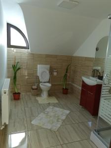 a bathroom with a toilet and a sink at Casa David Vatra Moldoviței in Vatra Moldoviţei