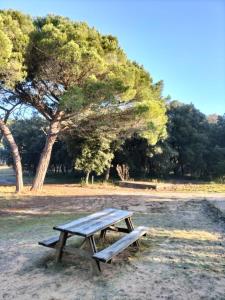 聖皮耶爾多勒隆的住宿－Les Salines Oléron，公园里的野餐桌和长凳