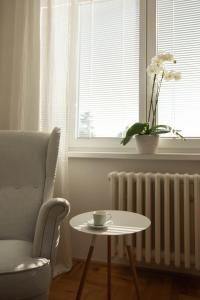 Posezení v ubytování apartmán NA NOC V BOHDANČI