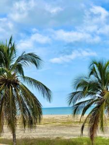 里奧阿查的住宿－Sweet Home RIOHACHA，两棵棕榈树,位于海边沙滩上