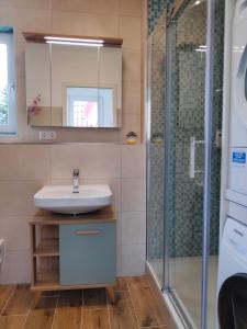 a bathroom with a sink and a shower at Mini-Apartment ruhig und verkehrsgünstig in Berlin in Berlin