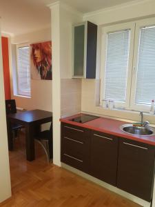 Kuhinja oz. manjša kuhinja v nastanitvi Rajiceva 5- apartman sa prostranom terasom i garaznim mestom
