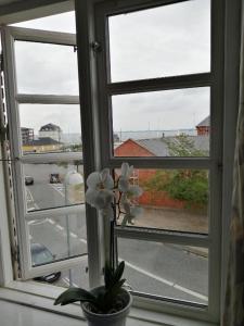 Foto dalla galleria di Det Gamle Hotel Rudkøbing a Rudkøbing