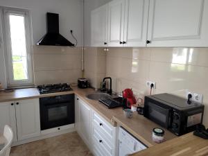 a kitchen with white cabinets and a sink and a microwave at Lovely Apartment Near City Center (w/ Parking) in Cluj-Napoca