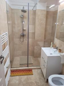 uma casa de banho com um chuveiro, um WC e um lavatório. em Lovely Apartment Near City Center (w/ Parking) em Cluj-Napoca