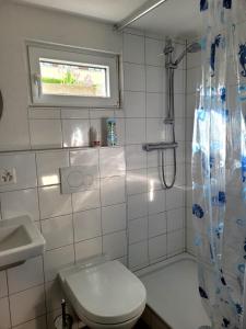 a white bathroom with a toilet and a shower at Charmante Waldrandidylle in Kreuzlingen