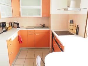 a kitchen with orange cabinets and a sink at La suite de l'Observatoire in Strasbourg