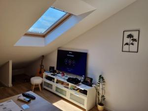 TV a/nebo společenská místnost v ubytování Geek Apartment