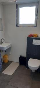 La salle de bains est pourvue de toilettes, d'un lavabo et d'une fenêtre. dans l'établissement De Berin, à Westhoek