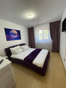 1 dormitorio con 1 cama grande en una habitación en Bibis Apartments, en Nehoiu