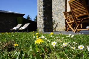 Ogród w obiekcie Apartamento con jardín en la Cerdanya
