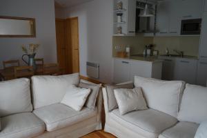 Kuchnia lub aneks kuchenny w obiekcie Apartamento con jardín en la Cerdanya