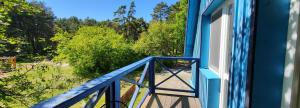 a view from a window of a blue balcony at Pergolt Apartment in Pervalka