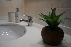 roślina doniczkowa siedząca na zlewie w łazience w obiekcie Apartamento con jardín en la Cerdanya w mieście Err +17 zdjęć