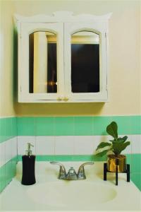 a bathroom sink with a mirror and a potted plant at Eventuality B&B New Kingston in Kingston