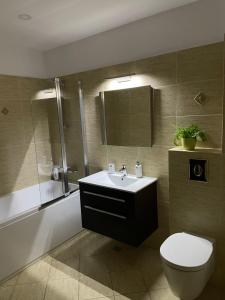 a bathroom with a sink and a toilet and a shower at Coresi Long Stay Apartment in Braşov +10 photos
